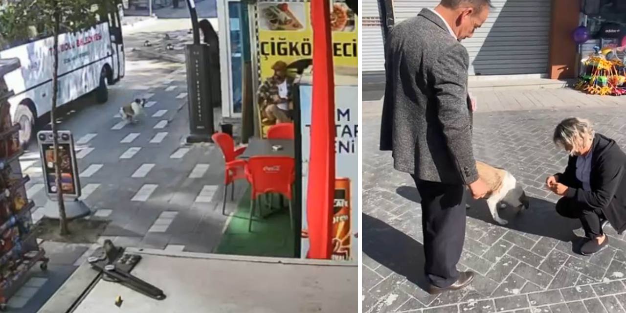 Ayağını ezdikleri köpeği bulup mama verdi