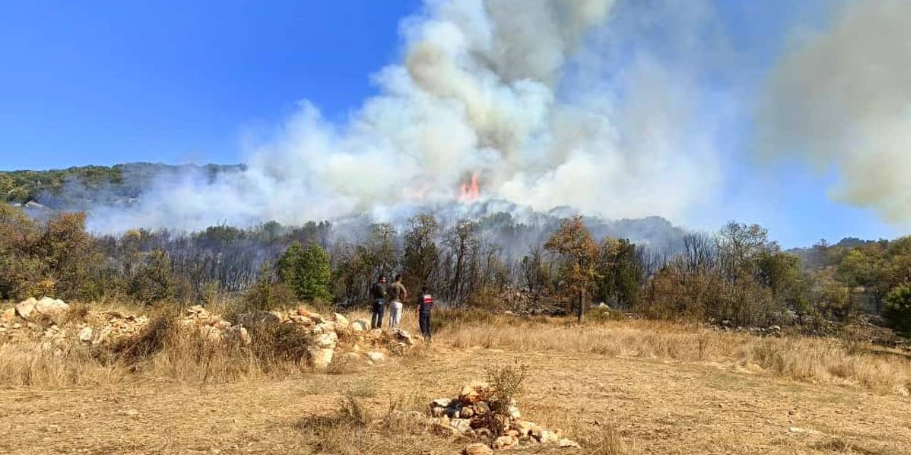 Burdur'da orman yangını: Havadan ve karadan müdahale ediliyor
