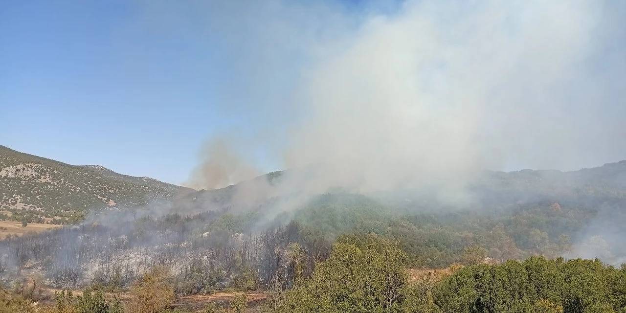 Çankırı’da orman yangını kontrol altına alındı