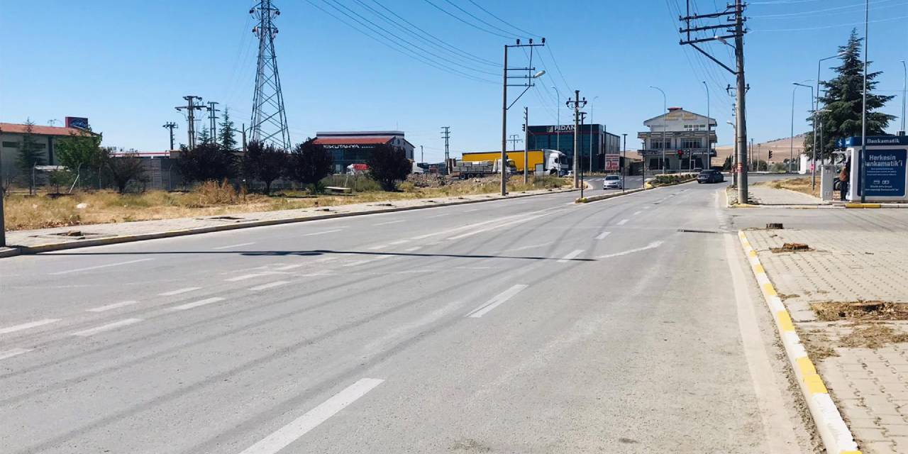 Bolvadin'de sessiz ağaç kesimi: Vatandaşlar tepkili