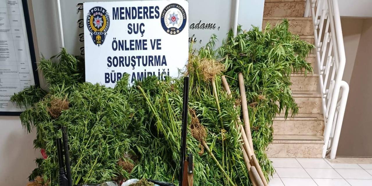 İzmir'⁬de ormanlık alanda hint keneviri yetiştiren şüpheli yakalandı
