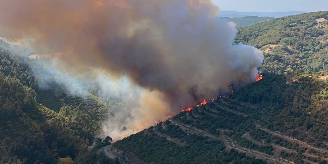 Balıkesir'de trafik kazası orman yangınına döndü!