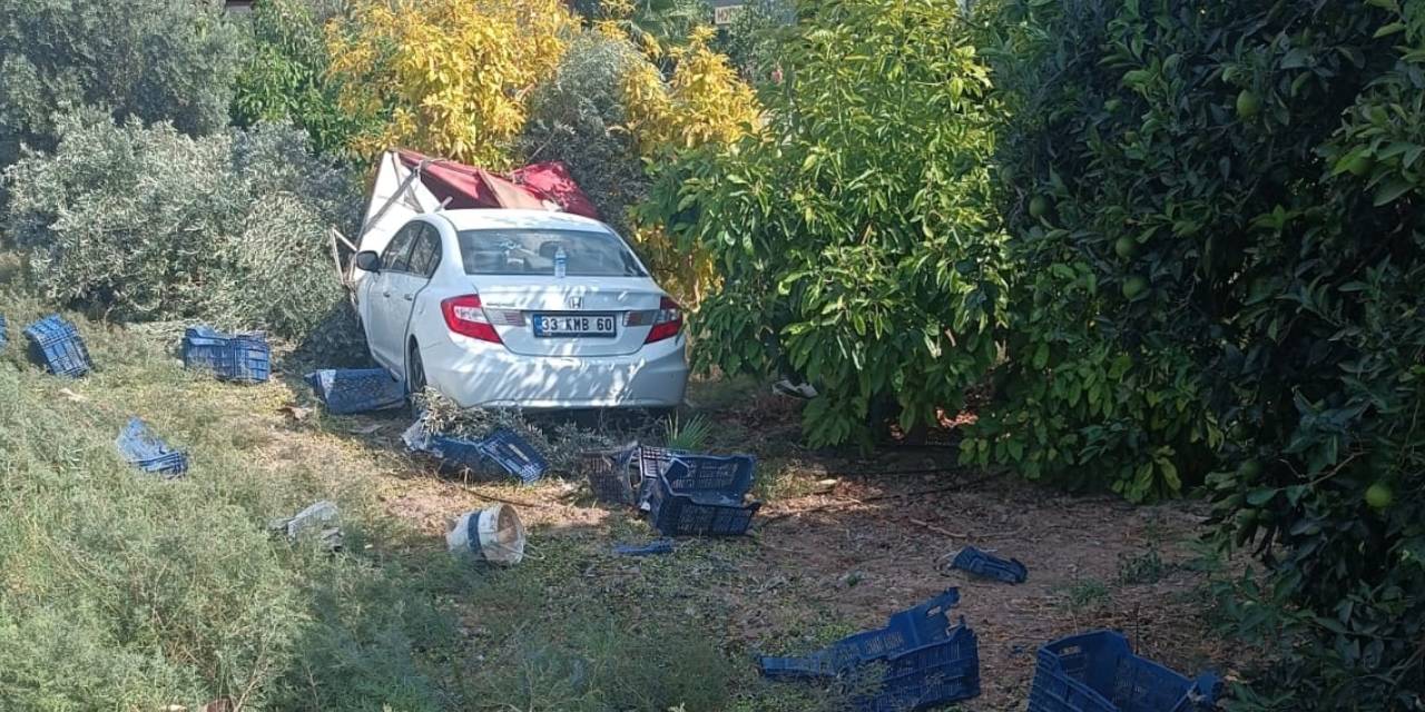 Mersin'de otomobil zeytin toplayan işçilere çarptı: 1 kişi hayatını kaybetti 3 yaralı