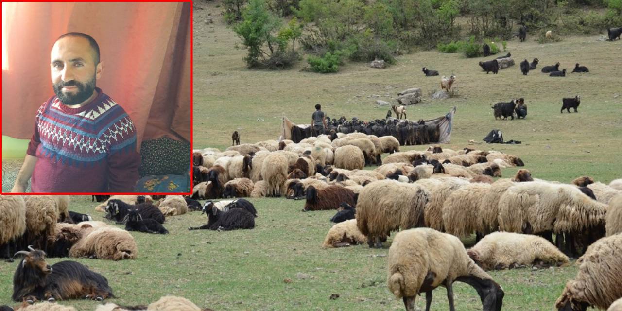 Çobanların 'hayvan otlatma kavgası' kanlı bitti