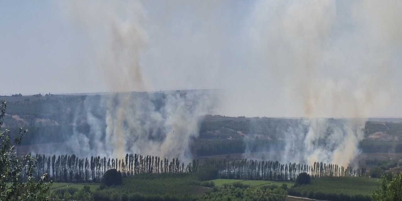 UNESCO Kültür Mirası listesindeydi! Hevsel Bahçeleri’nde yangın paniği