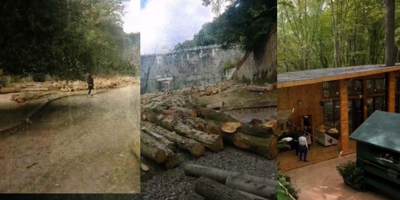 İstanbul'un son nefesini de kesiyorlar! Belgrad Ormanındaki ağaçlara balta vuruldu!