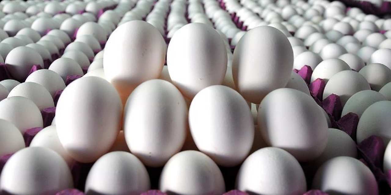 TÜİK açıkladı: Yumurta azaldı