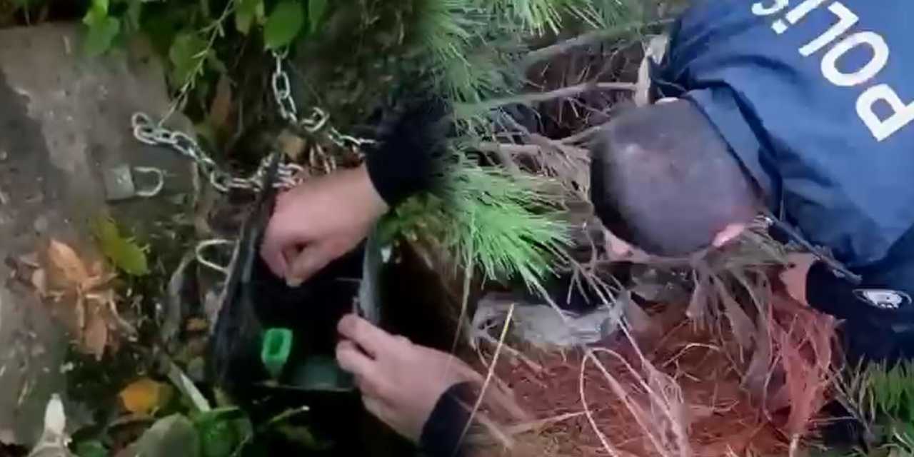 Samsun’da kaçak avcılığa gözaltı! Kurduğu akılalmaz düzenek hayrete düşürdü