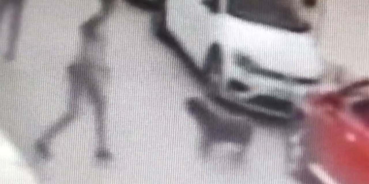 Sokak köpeğini kemerle dövdü! Gözaltına alındı