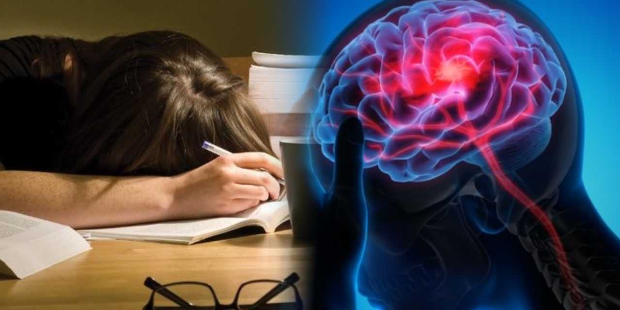 Yetersiz değil sadece yorgunsunuz! Çok çalışmak beyin sisine neden oluyor