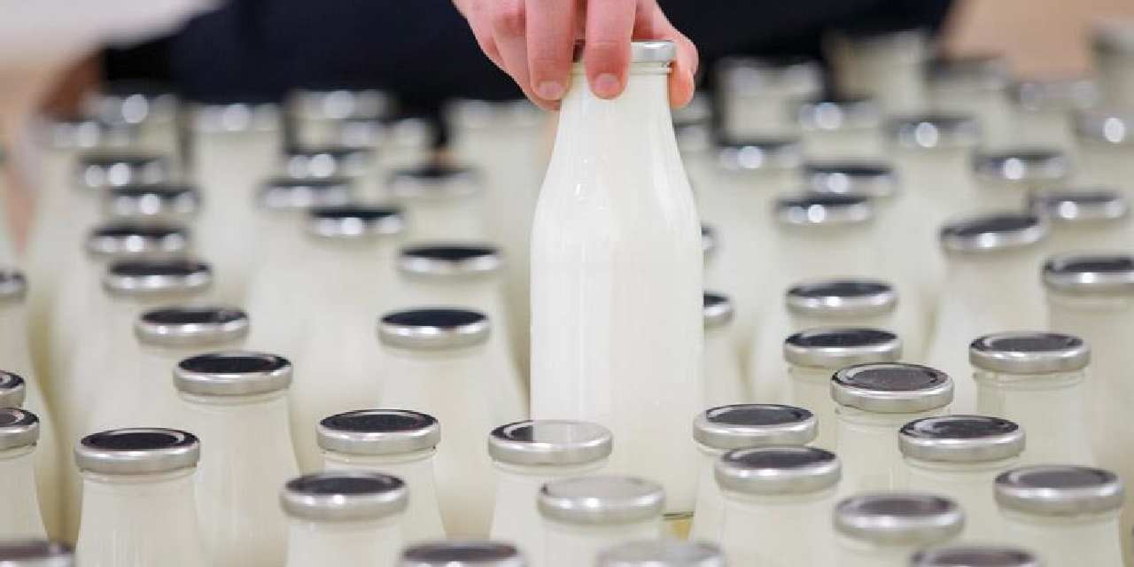 Rekabet Kurumu süt sektörünü uyardı: Ağır para cezaları var!