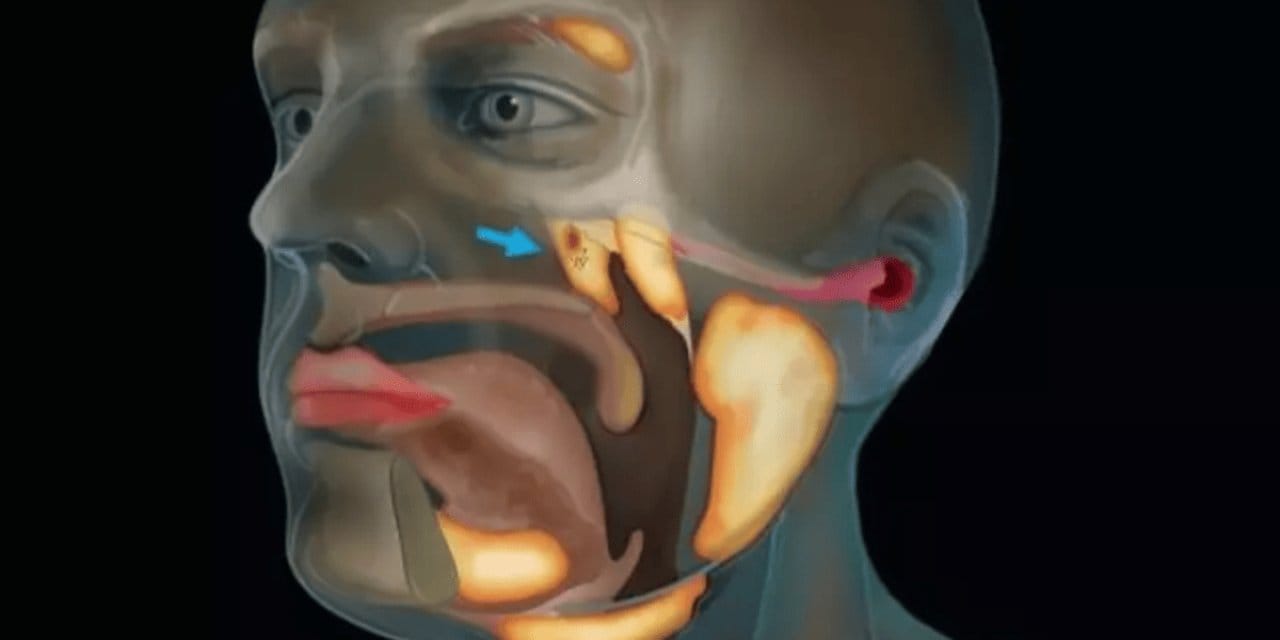 Bilim insanları insan vücudunda tesadüfen yeni bir organ keşfetti