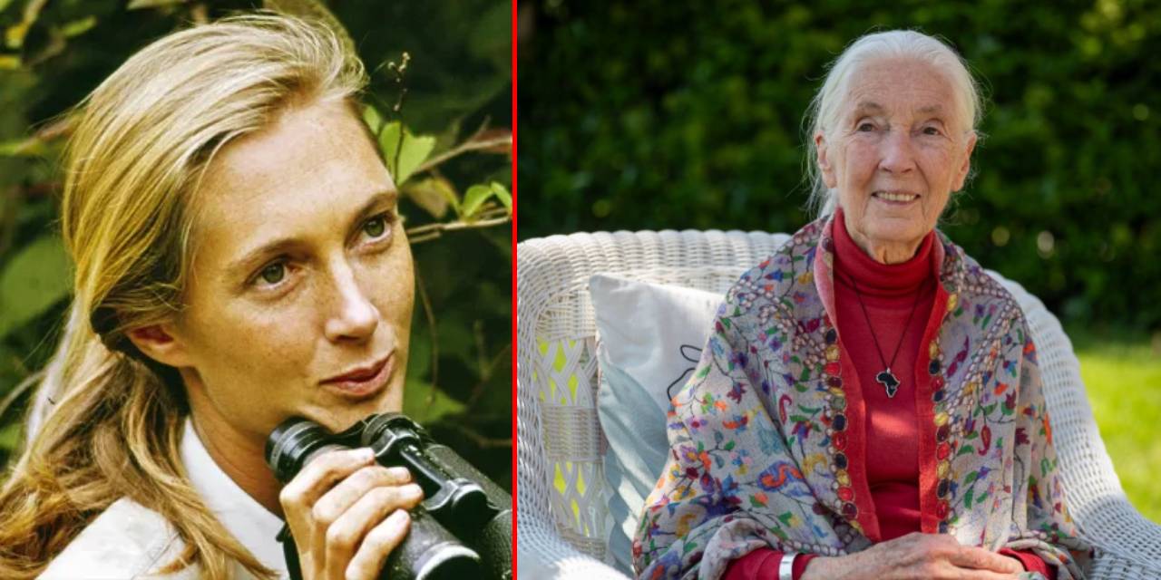 Hayvanın alet kullanabildiğini keşfetti: Dr. Jane Goodall 91 yaşında hayatını kaybetti
