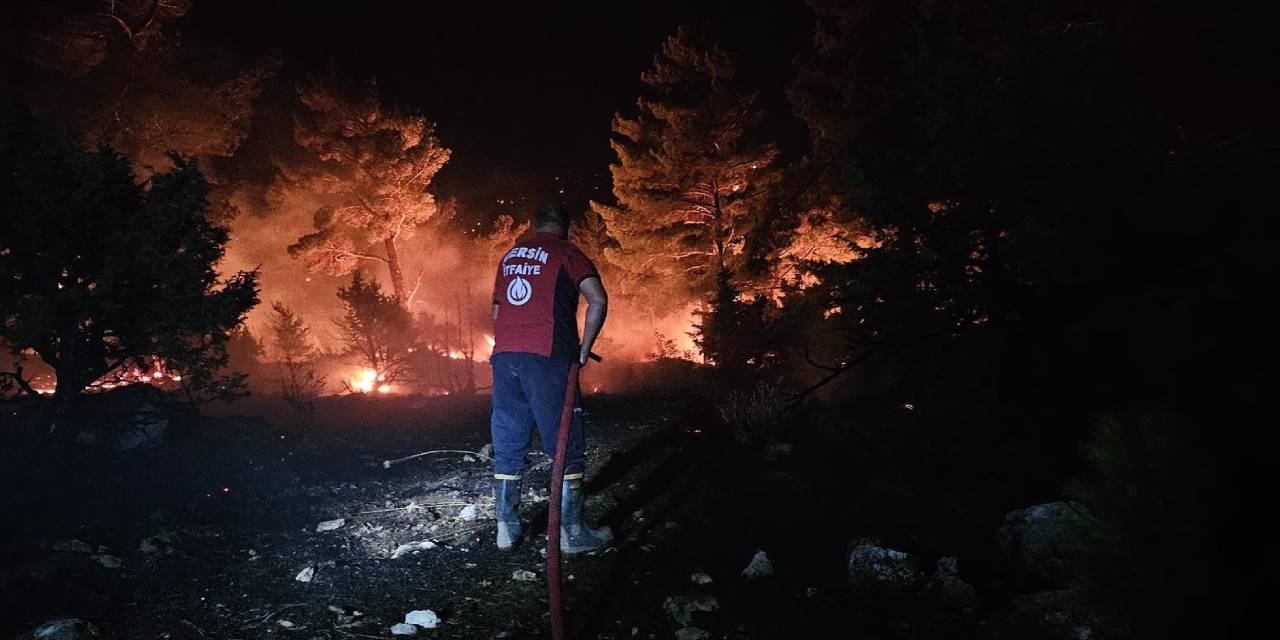 Silifke'de orman yangını neden olmuşlardı: 11 sanık hakim karşısına çıktı