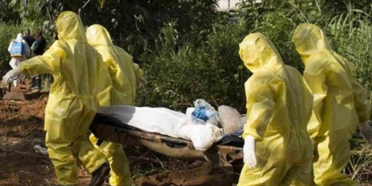 Hayvandan insana geçen salgın 356 can aldı: Hükümet bu hayvanlara teması yasakladı