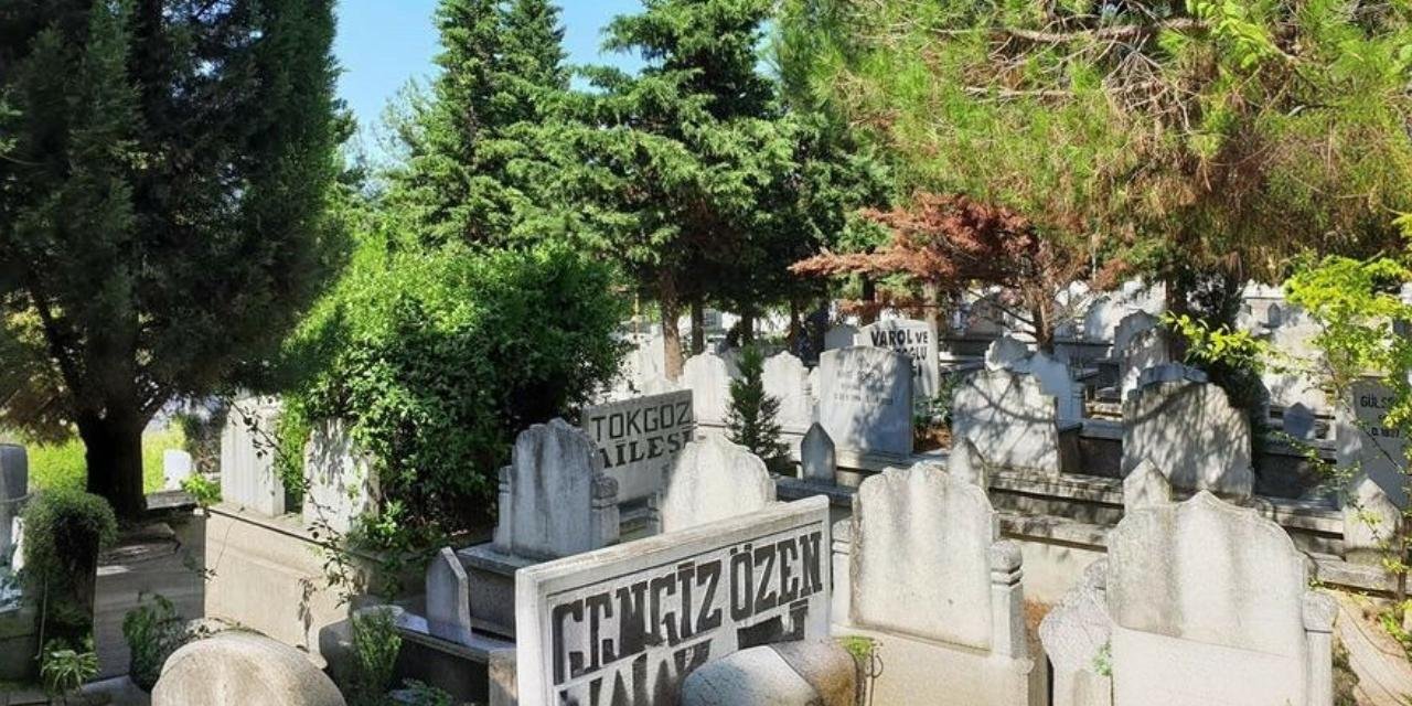 Mezarlıktaki ağaçları satışa çıkardılar! 4 bin 566 ağaç kesilecek