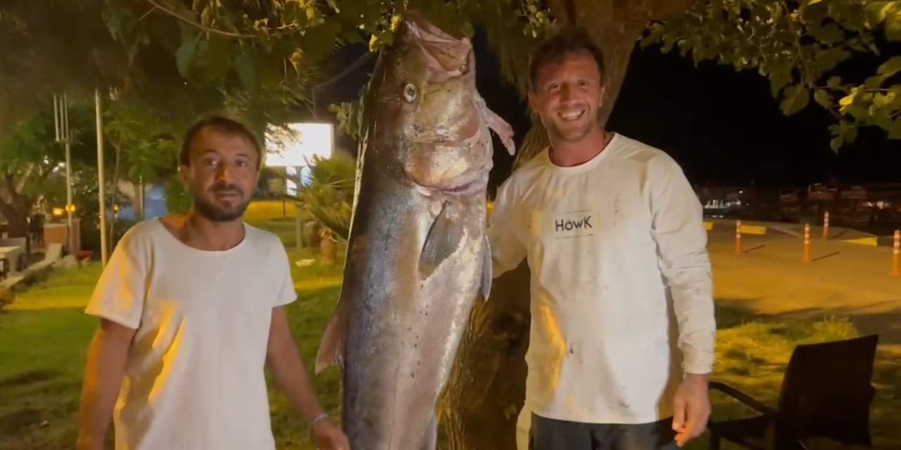 İnsan boyundaki balığı 25 bin TL'ye sattılar: Yaptıkları hareket takdir topladı