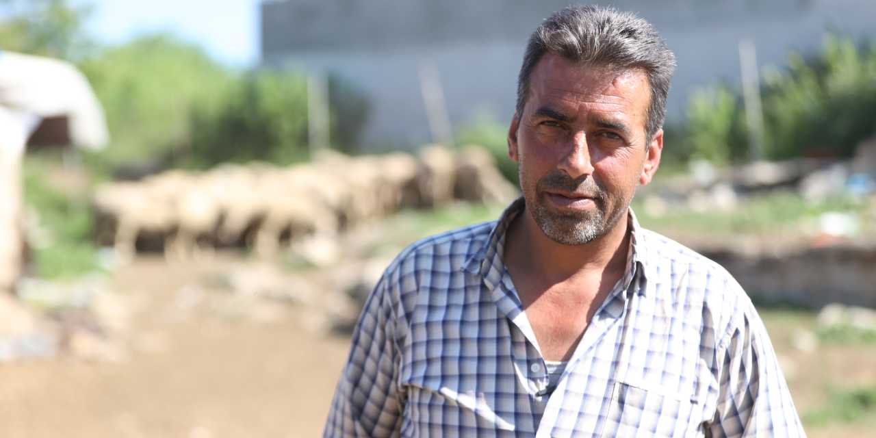 Şehir hayatına dayanamadı köyüne döndü: Hayatı kurtuldu