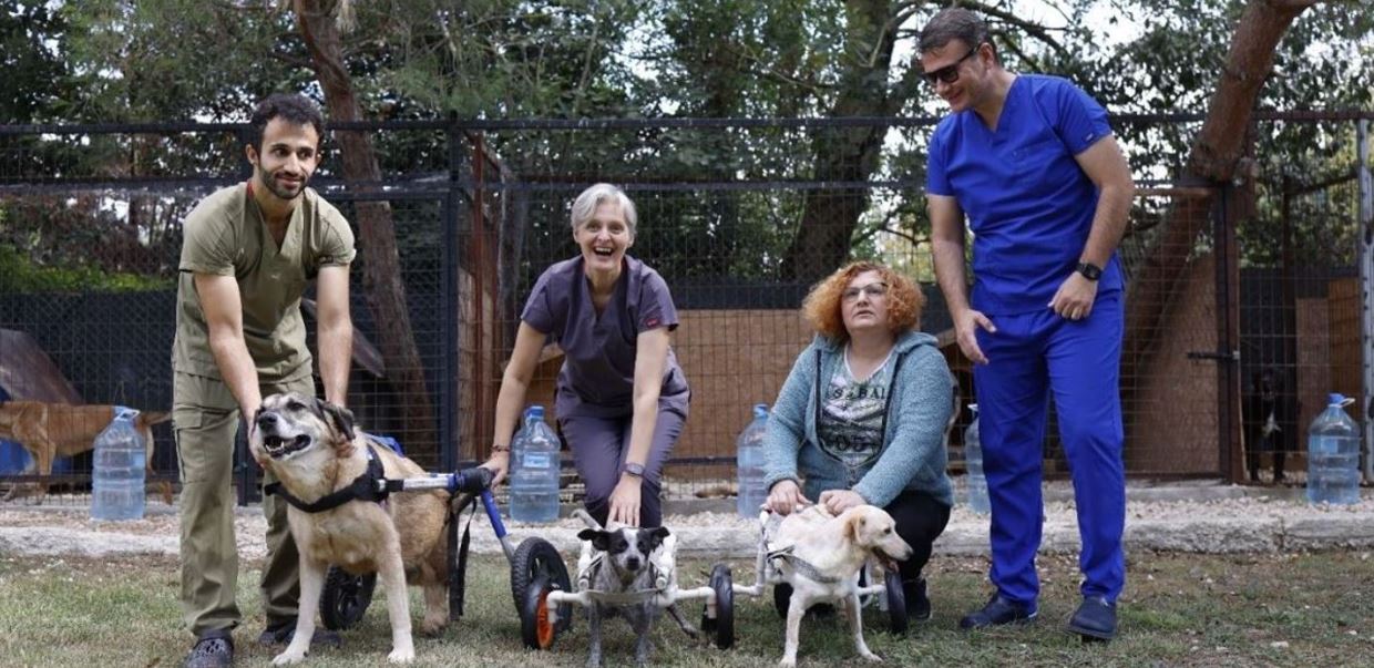 Sokak hayvanları için umudun adresi özel bakım evi oldu