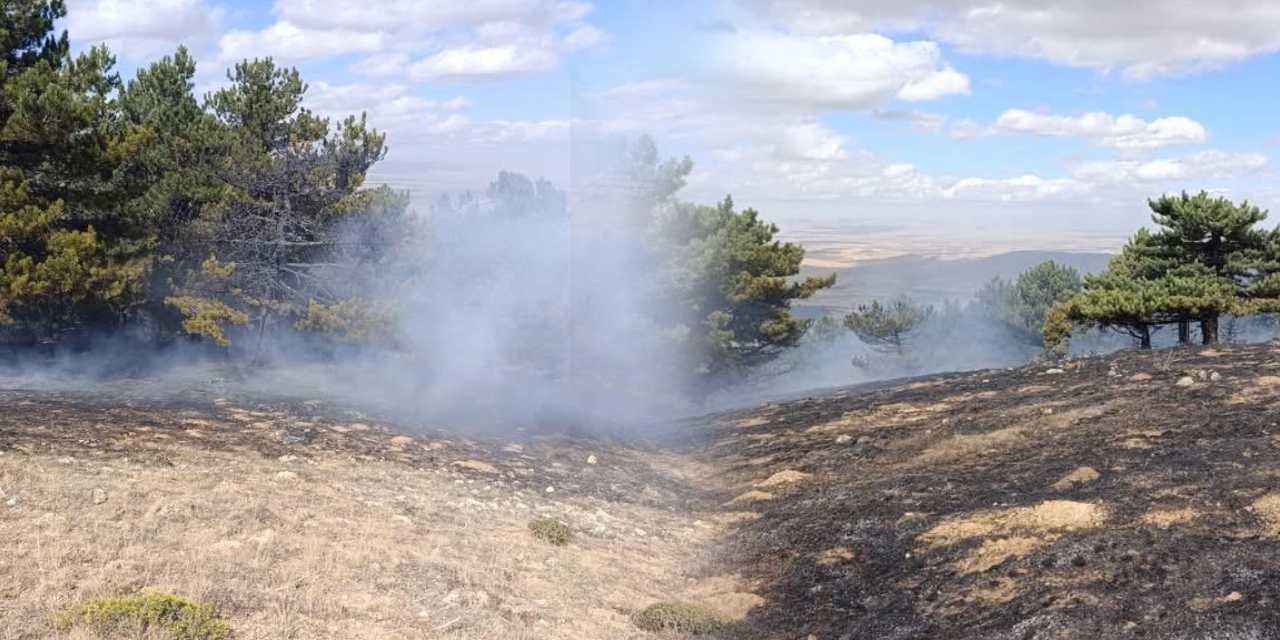 Konya’da yangın alarmı! Büyümeden söndürüldü
