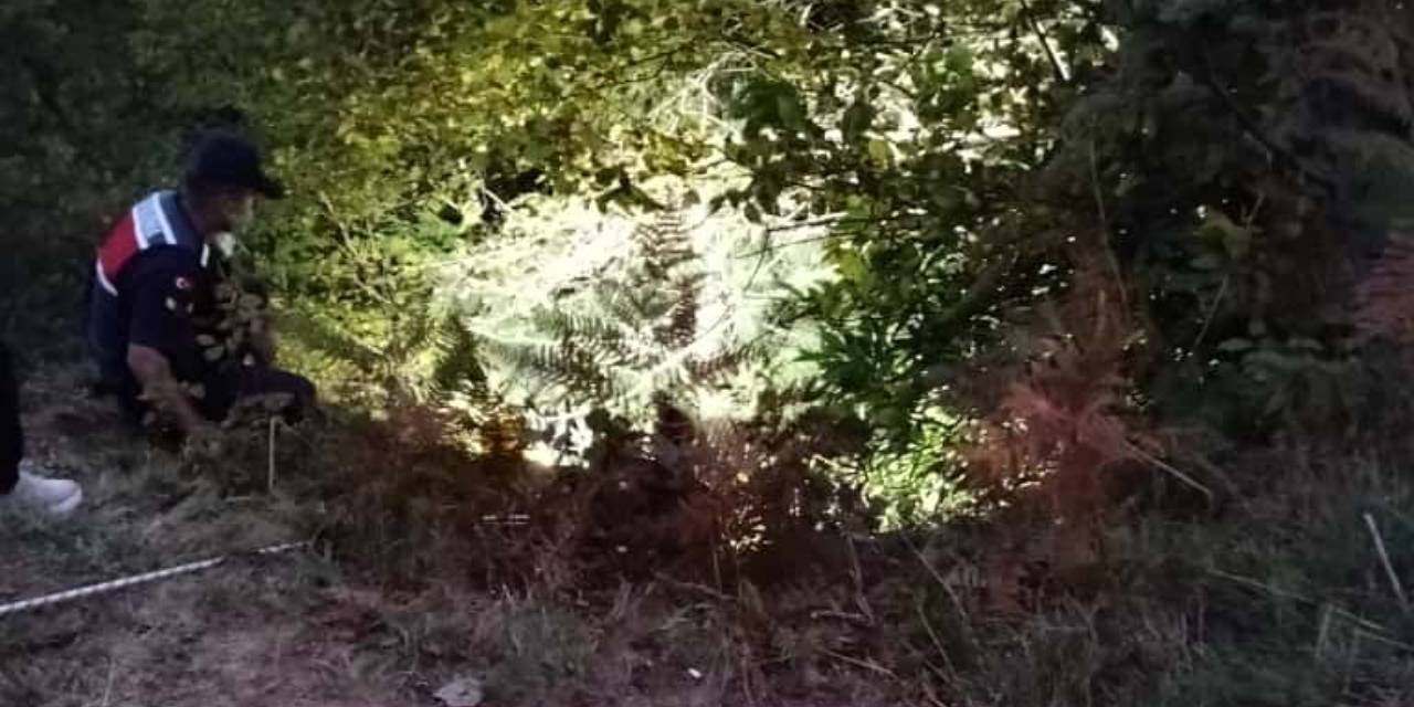 Ot biçen baba- oğul uçuruma düştü: Polis memuru oğul öldü baba yaralandı