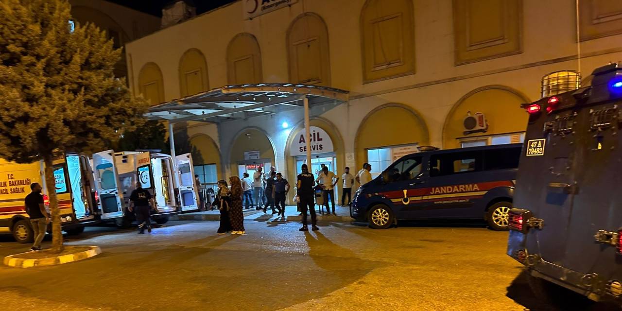 Otomobilin çarptığı eşek ile üzerindeki kişi yaralandı