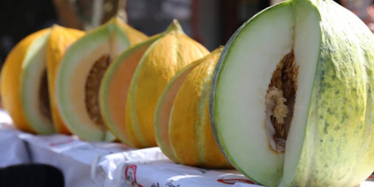 Kavunlar yarıştı  yayla şenlendi