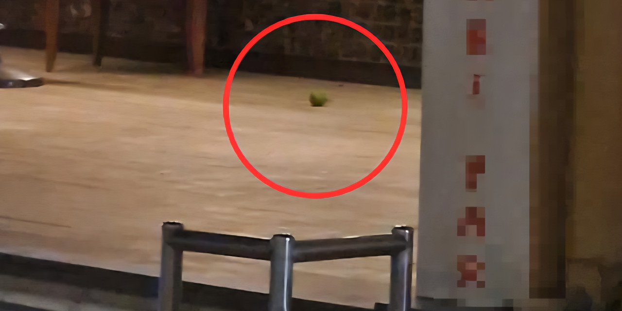 Pastaneye el bombalı saldırıda şoke eden detay