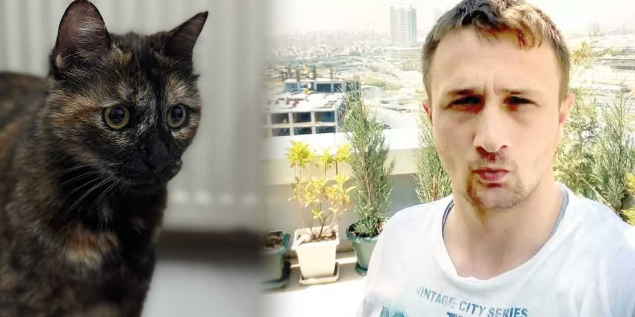 Cezve isimli kediyi vahşice katletmişti! Burak Alan hakim karşısına çıktı