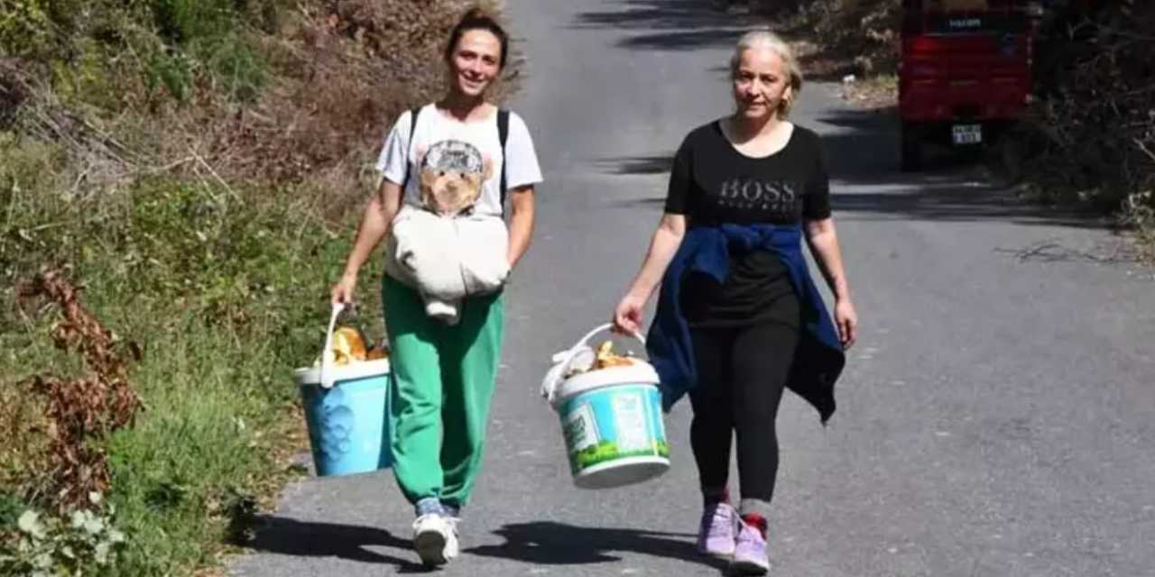 Ormandan toplarken herkes "Boş işle uğraşıyor" diye dalga geçti: Şimdi günde 7 bin lira kazanıyor