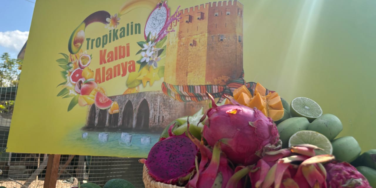 Alanya'daki tropikal lezzet fırtınasını kaçıran bin pişman olacak! Türkiye'nin en egzotik festivali