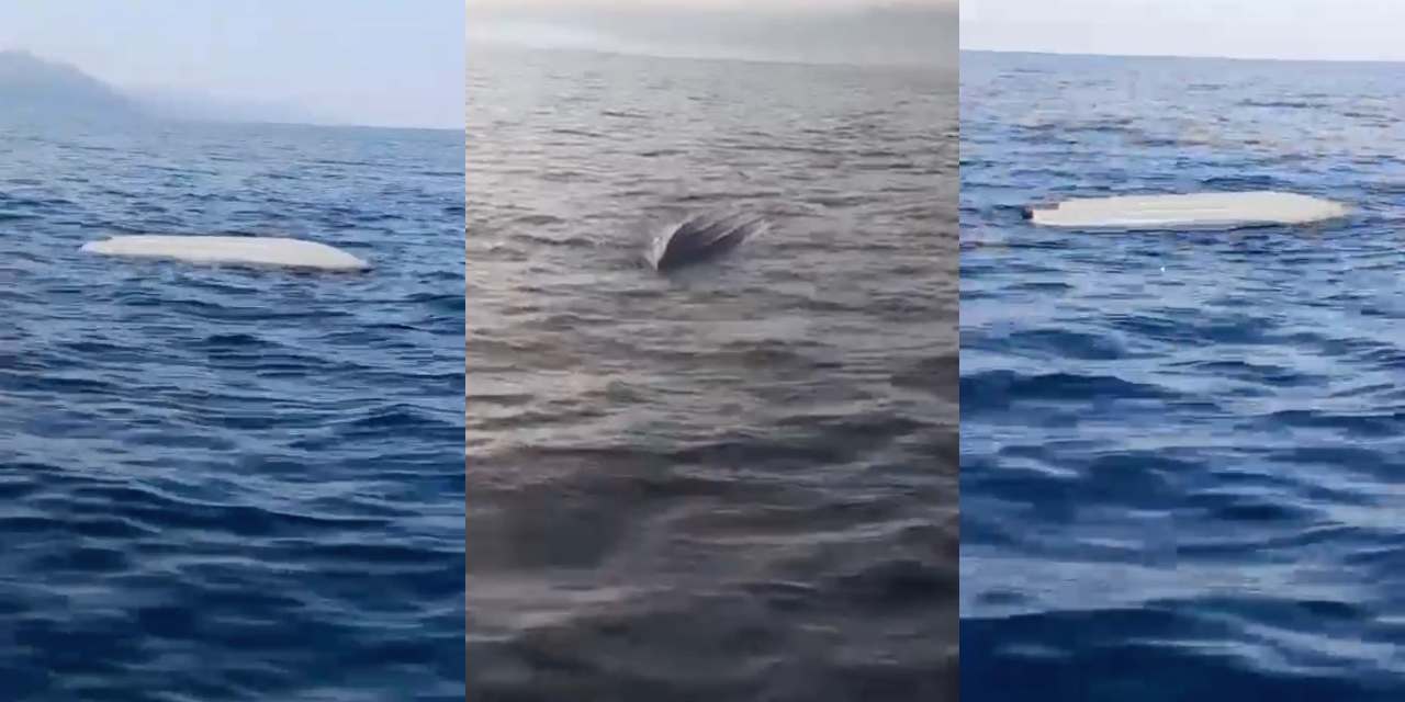 Trabzon'un ardından şimdi de Artvin'de görüldü: Balıkçılar insansız deniz aracı buldu!