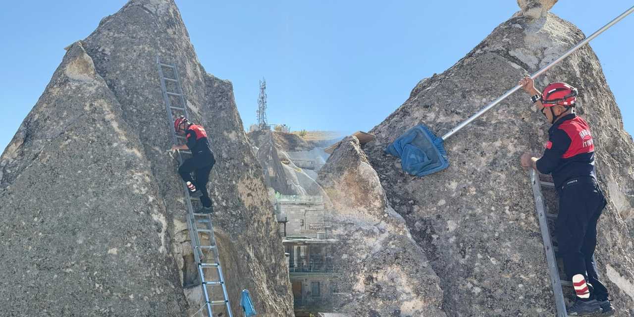 Peribacasında mahsur kaldı! Yaramaz kediyi itfaiye kurtardı
