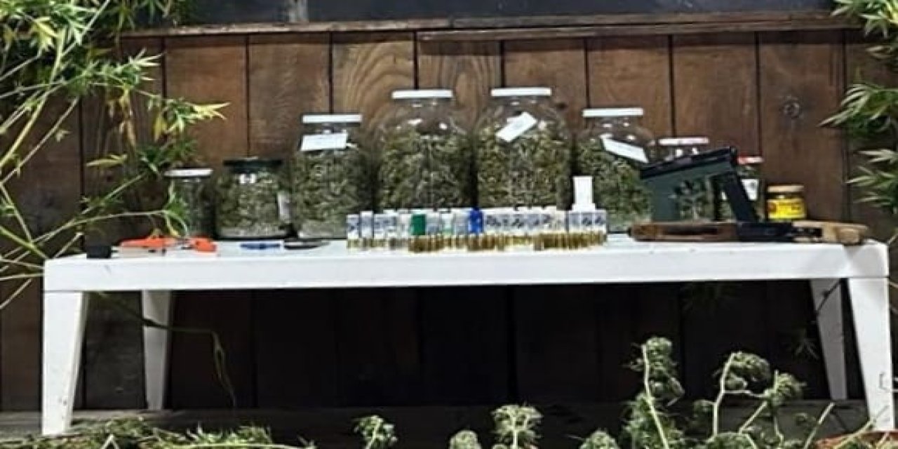 Samanlıktan kilolarca esrar çıktı