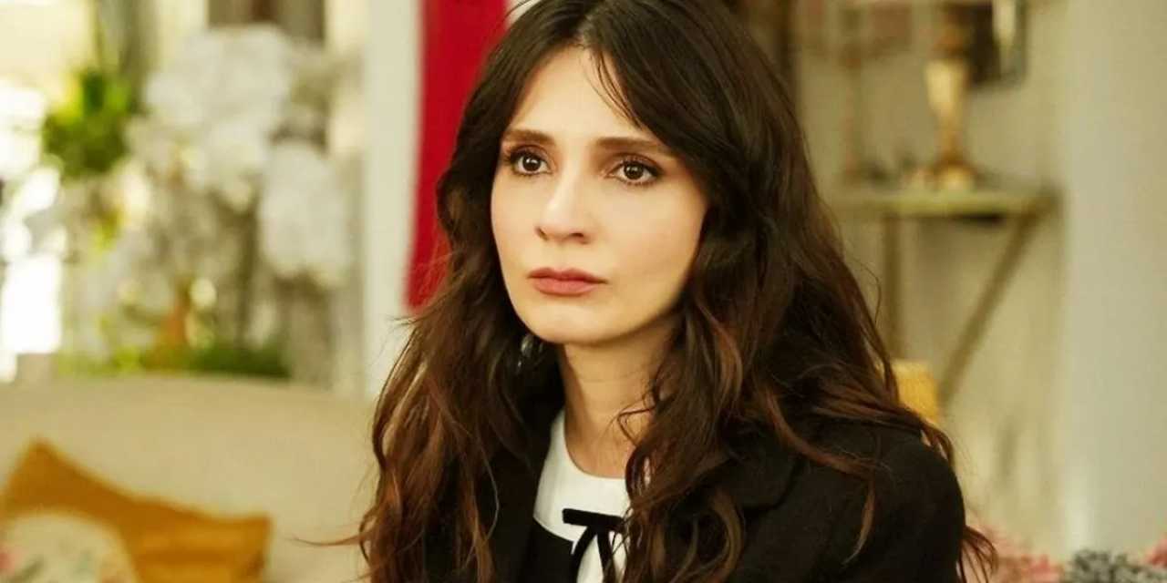 Meriç Aral'a jandarmada zor anlar: Bebeğini besleyebilmek için süt pompası istedi