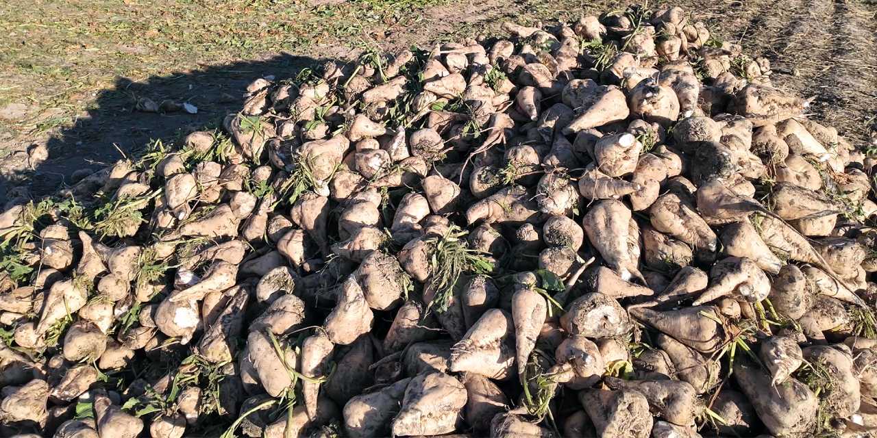 O da bitme noktasına geldi! Ağız tadı kaçıracak