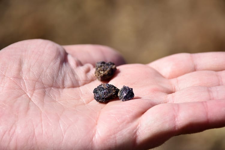 Ne sattığımızı biliyor muyuz? Bakın nadir elementlerle neler yapılıyor... Katma değerin yüzde 4'ü bize yüzde 96'sı ABD'ye!