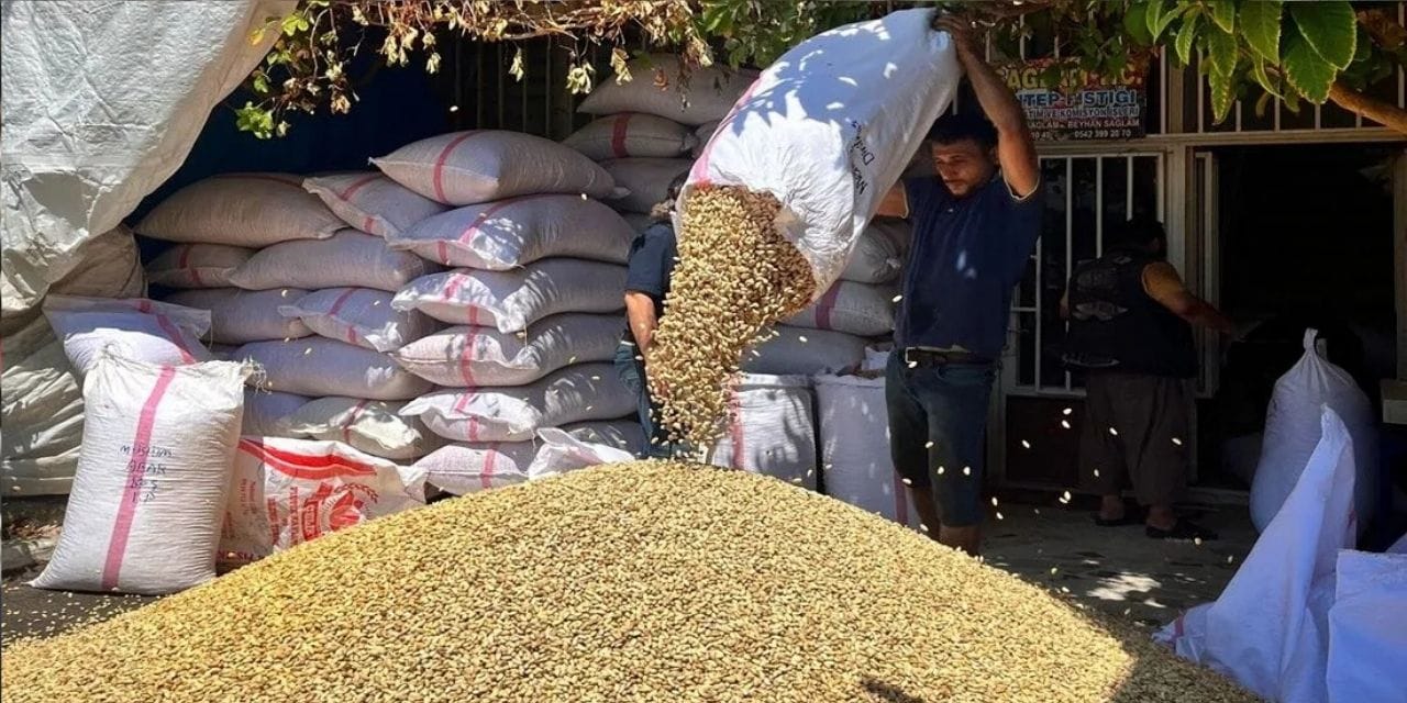 Şanlıurfa'da kriz büyüyor: 2 bin liraya kadar alıcı buluyor