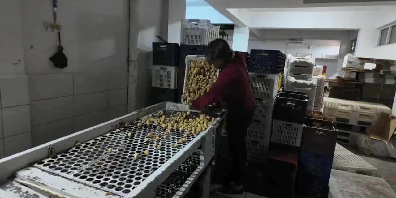 İşçi "Geçinemiyoruz" diyor ihracatçı 'vade' istiyor