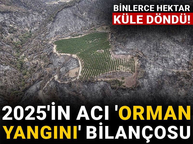 2025'in acı 'orman yangını' bilançosu: Binlerce hektar küle döndü!