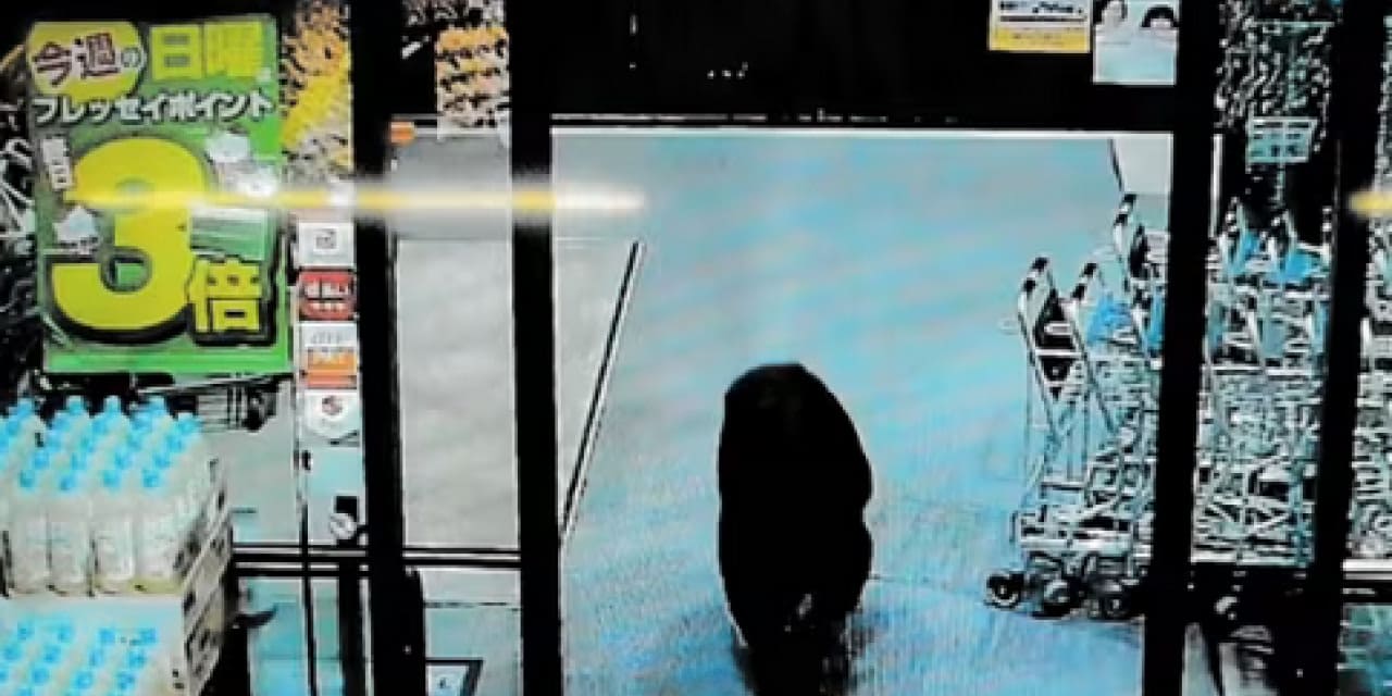 Markete giren ayı ortalığı birbirine kattı: Balık reyonuna daldı firar etti