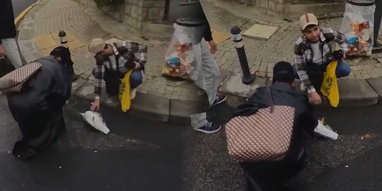 Otobüsün çarptığı martının hayatı kalp masajıyla kurtuldu!