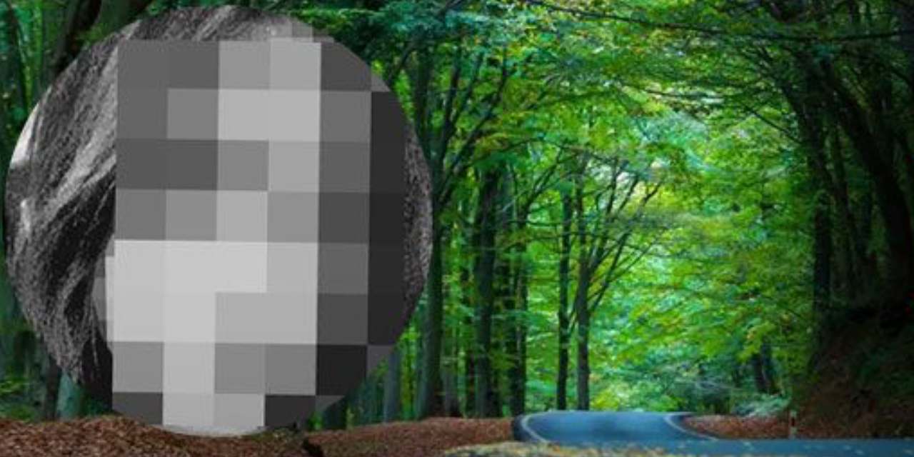 Genç kadını Belgrad Ormanı'nda darp edip bir de videoya aldılar: Seni ormana gömerim