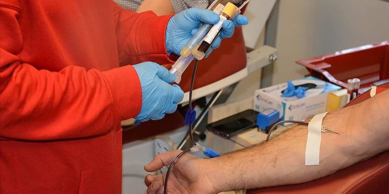 Sahte kan raporu ile ehliyet verdiler: 5 kişi tutuklandı