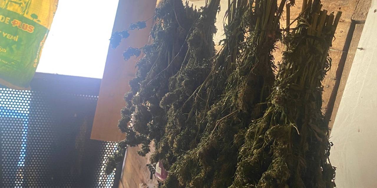 Jandarmadan güvercin kümesine uyuşturucu operasyonu