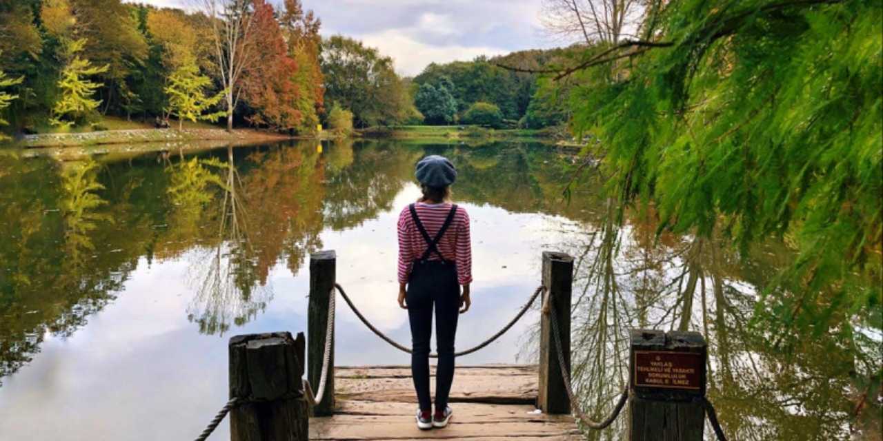 Murat Kurum'u tek yetkili yapacak teklif Meclis'te: Milli parkları istediğine 99 yıllığına verecek