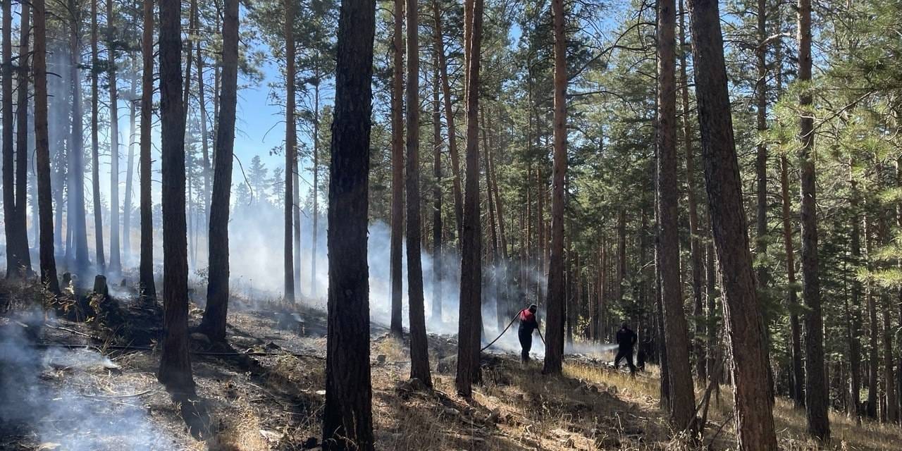 Sarıkamış'ta çıkan orman yangınında yaklaşık 1 hektar alan zarar gördü