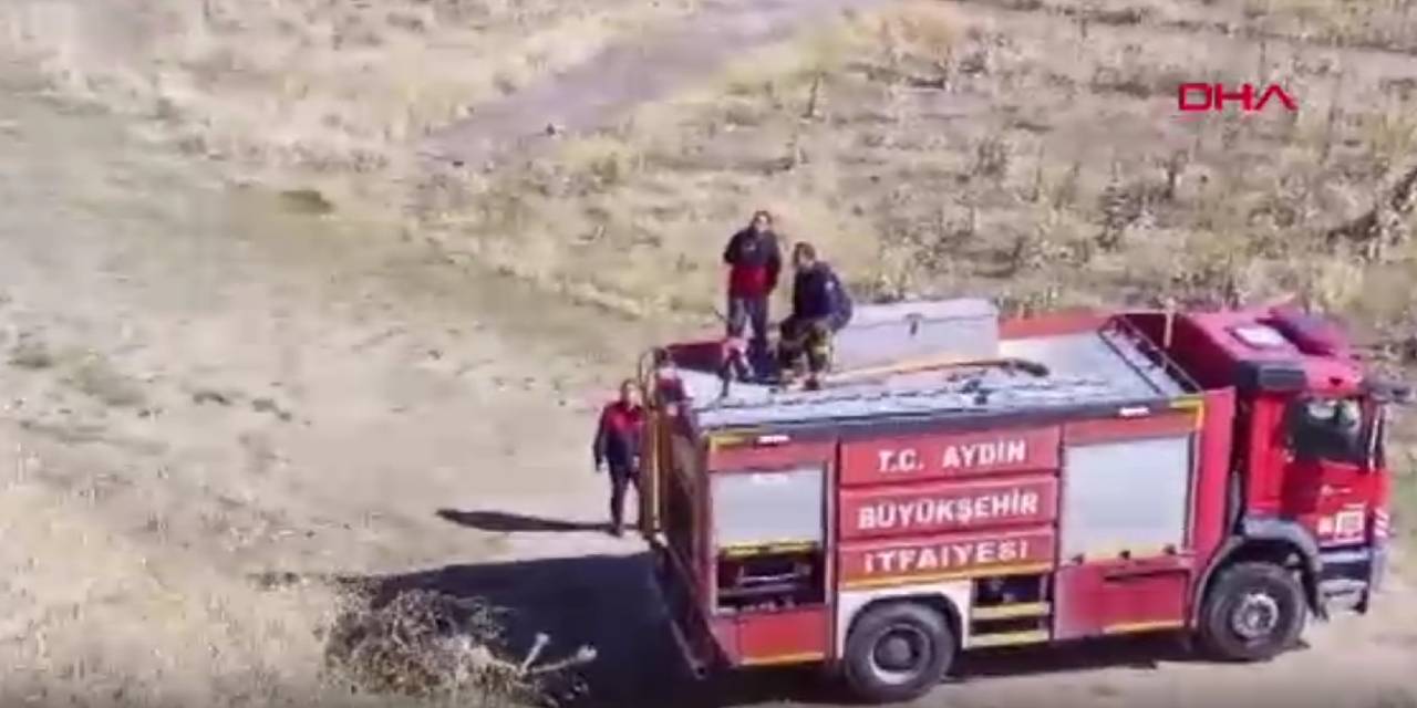 Alevler zeytinliğe sıçradı; 10 dönüm alan zarar gördü