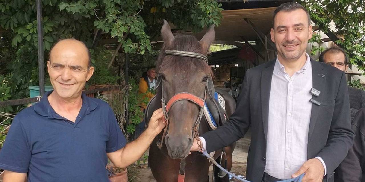 Manavgat'ta kazanan Timur oldu