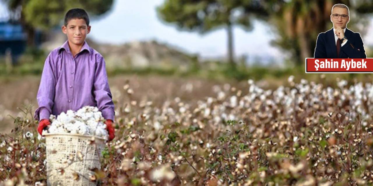 Sınıf listelerindeki çocuk işçiler: Yastığı taş, tavanı gökyüzü olan çocuklar, bizi hiç affetmeyin!